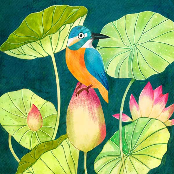 Kingfisher and Lotus